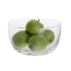 Anna Medium Bowl -Dartington Crystal bd3597
