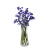 Florabundance Bluebell Vase 2 Florabundance Bluebell Vase -Dartington Crystal bluebell