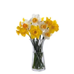 Florabundance Daffodil Vase -Dartington Crystal daffodil