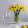 Florabundance Daffodil Vase 2 Florabundance Daffodil Vase -Dartington Crystal daffodil square