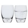 Eleanor Tumbler, Set Of 2 -Dartington Crystal eleanor tu81905 tumbler pair co