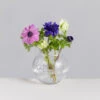 Florabundance Anemone Vase -Dartington Crystal florabundance anemones square