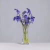 Florabundance Bluebell Vase -Dartington Crystal florabundance bluebells clear square