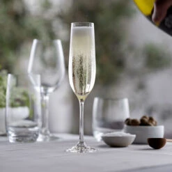 Wine & Dine Champagne Flute, Set Of 6 -Dartington Crystal flute wd