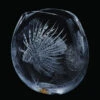 The Lion Fish - Large Vase Ed: 10 2 The Lion Fish - Large Vase Ed: 10 -Dartington Crystal gal3259 gallery lion fish flora large .co