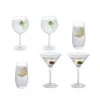 Bar Six Gin, Set Of 6 -Dartington Crystal gpwbgin 6pk