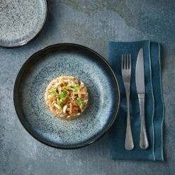 Denby - Halo Set Of 4 Coupe Dinner Plate -Dartington Crystal halo square alternative background 80057 max size 2000px rgb 1