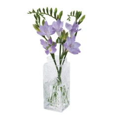 Small Clear Marguerite Vase
