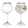 Gatsby Copa Gin & Tonic, Set Of 2 -Dartington Crystal microsoftteams image 10
