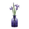 Flower Bottles - Anemone/Amethyst -Dartington Crystal purple 1
