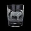 Hand Engraved Majestic Wildlife Buffalo Tumbler -Dartington Crystal rb45 5 majestic wildlife buffalo co lr