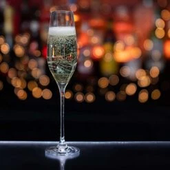 Glitz Champagne Flute -Dartington Crystal st2734 5 n mood