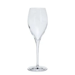 Prosecco Party, Set Of 6 -Dartington Crystal st3171 2 6pk prosecco party cutout co lr 1
