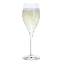 Prosecco Party, Set Of 6 -Dartington Crystal st3171 2 6pk prosecco party cutout liquid co lr