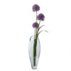Curve Tall Vase -Dartington Crystal tall