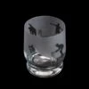 Aspect Tumbler Cricket -Dartington Crystal tu3407 5 cricket aspect tumbler cricket co