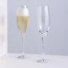 Wine Master Flute Champagne Glass, Set Of 2 -Dartington Crystal wine master champagne pair square