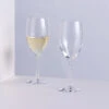 Wine Master White Wine Glass, Set Of 2 -Dartington Crystal wine master white wine pair square